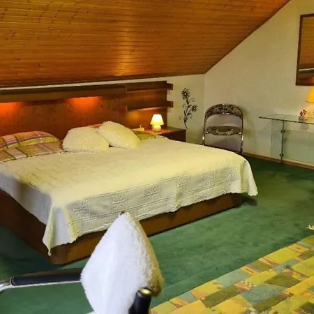 Eifel Kaminhaus Villa *