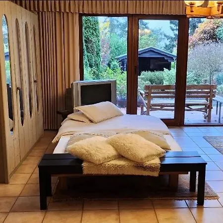 Eifel Kaminhaus Villa Nideggen