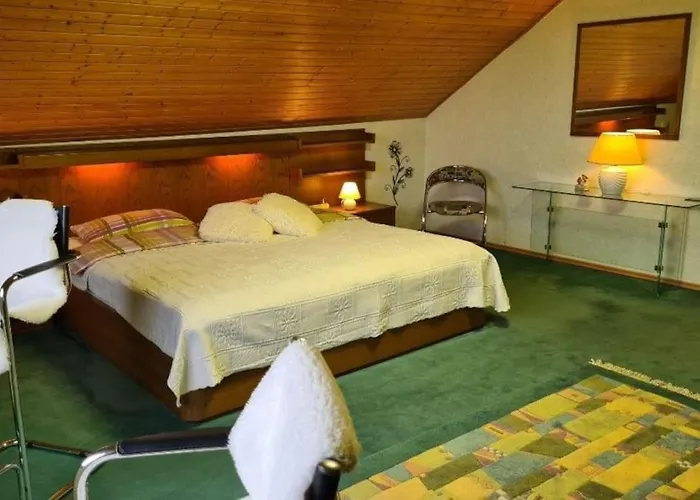 Eifel Kaminhaus Vila *